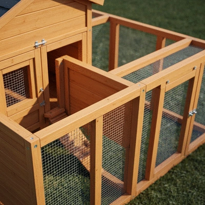 A close-up of a modular chicken coop showcasing its features