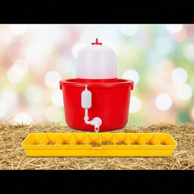 Chicken waterer and feeder in a clean environment