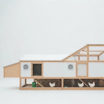 Sustainable chicken coop design and features